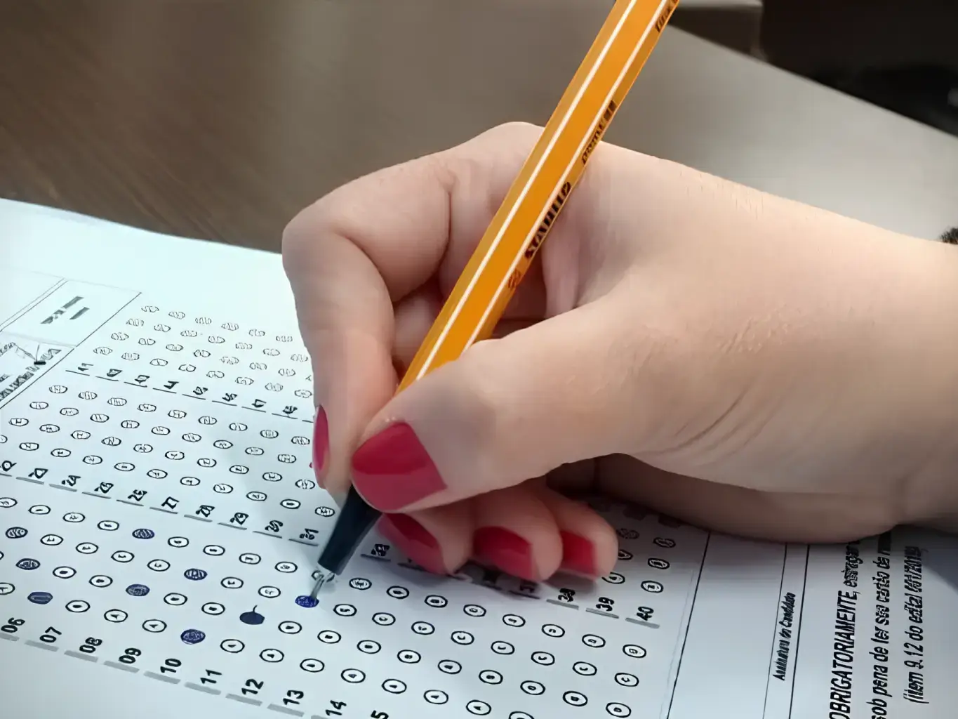 Zoom Educa Dashboard